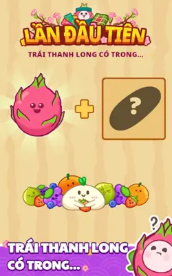 Lần Đầu Tiên Ghép Thanh Long android App screenshot 13